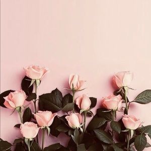 Meet your Posher, Tanya